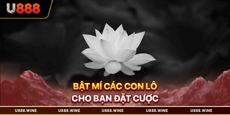 Mơ Thấy Người Chết - Con Số May Mắn Cho Dân Cá Cược Bật mí các con lô cho bạn đặt cược