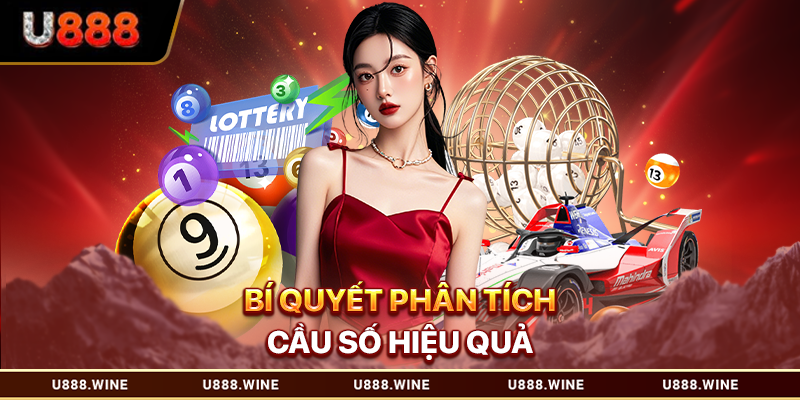 Nuôi Lô Bạch Thủ - Bí Kíp Săn Lộc Dài Hơi, Trúng Thưởng Bền Vững Bí quyết phân tích cầu số hiệu quả